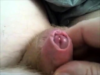 Cum 156