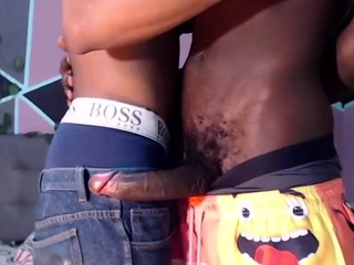 Gay amateur group party blowjob