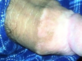 big fat plum headed cock snakes its way out of pajama pants